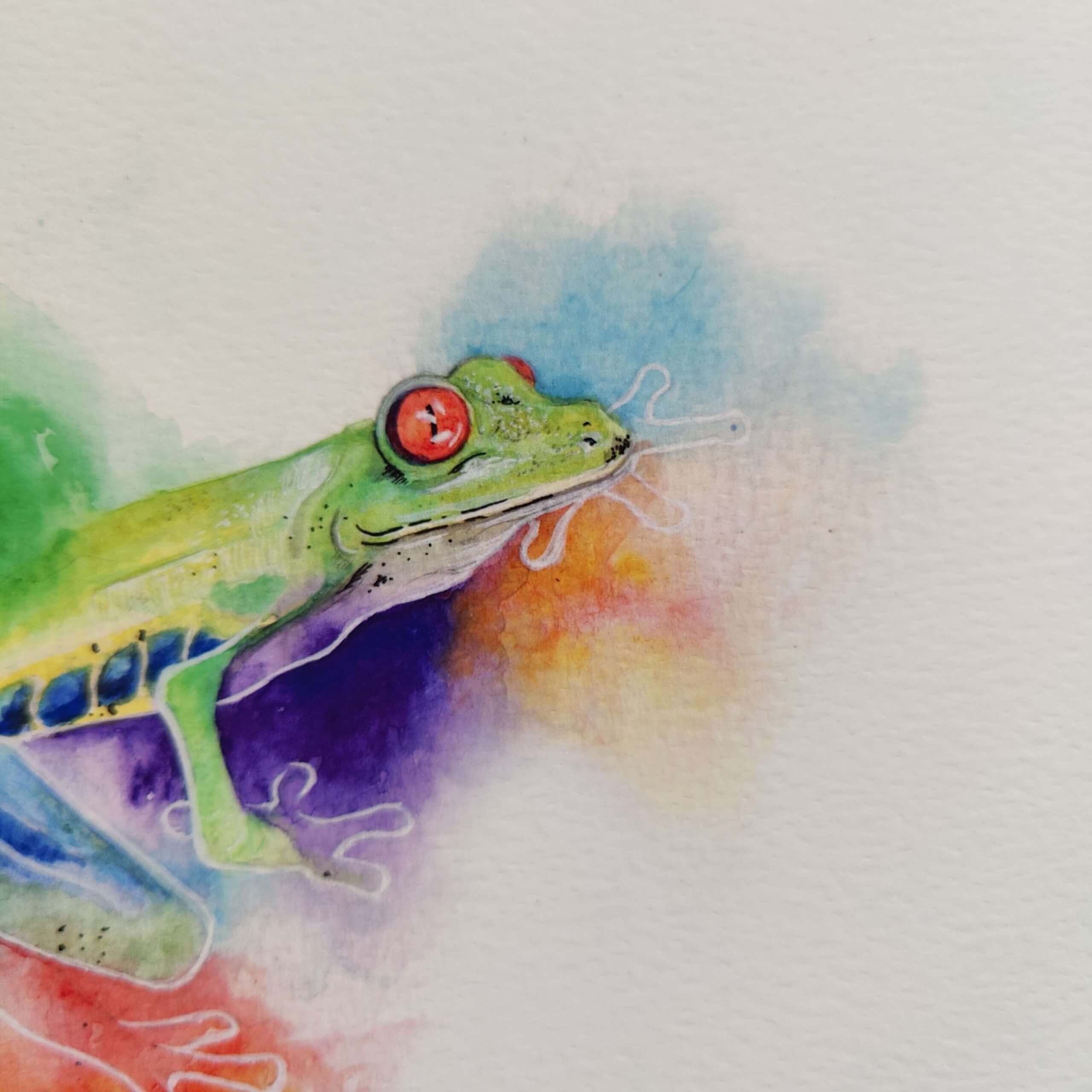frog art, frog lovers, colourful frogs, green frogs