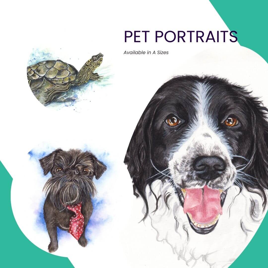 Custom Pet portraits, watercolour pet portraits, cat portrait, dog portrait