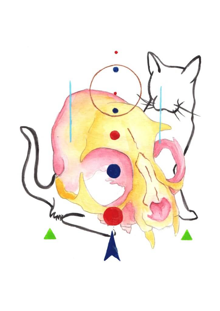 cat art, ink drawing, colourful skulls, daltonsart, cat skull