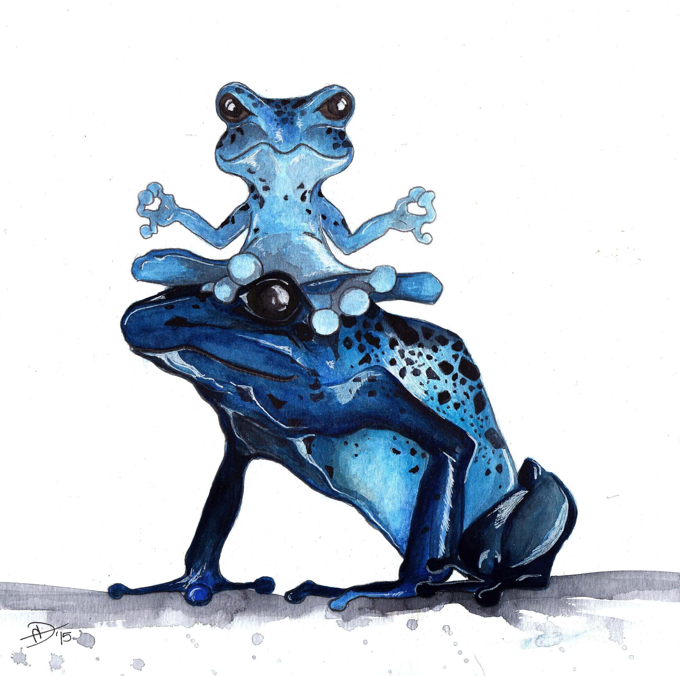 Meditating Frogs