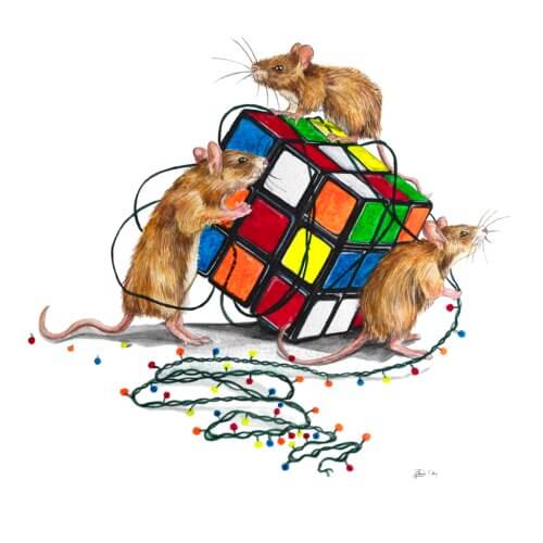 Rubiks Cuve, Mice, Mouse, Heists