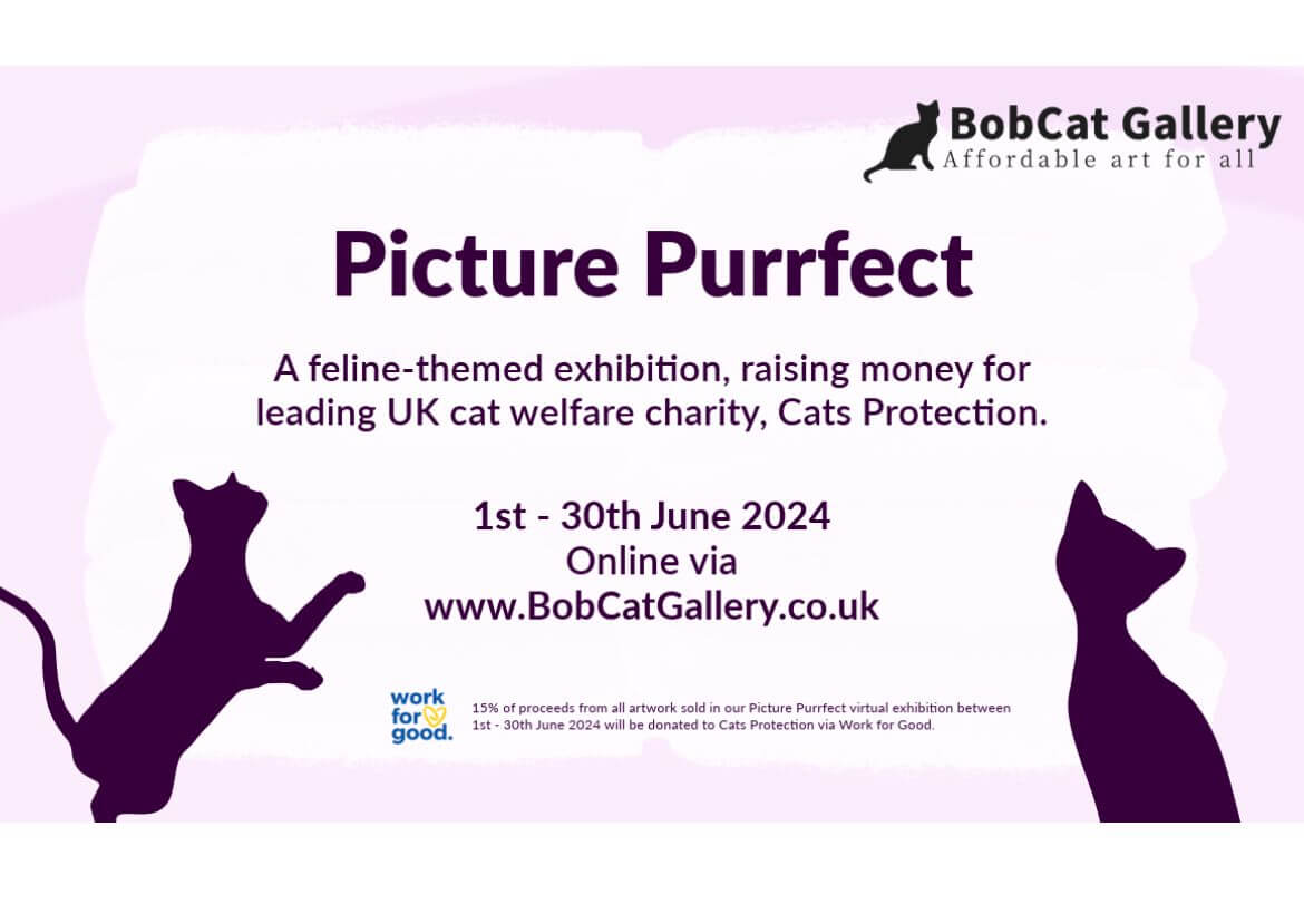 BobCat Gallery, Picture Purfect Exhibtion